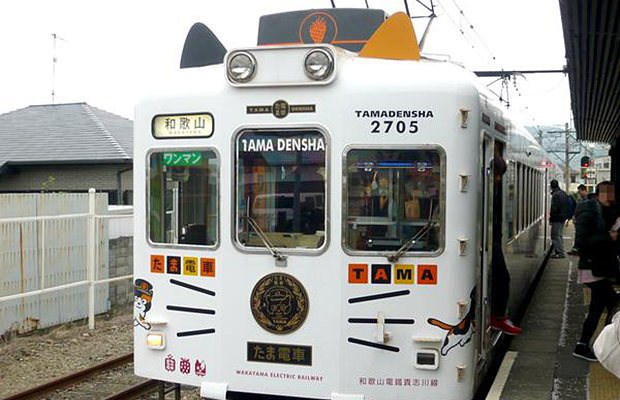 tama-densha-japon-train-chat