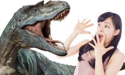 dinosaures-japon-katsuyama-fukui-dino-a-live