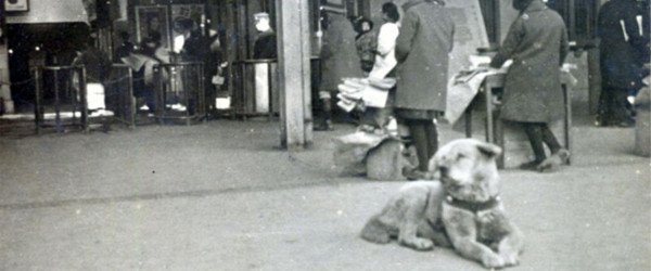 hachiko-chien-japon-shibuya-photo