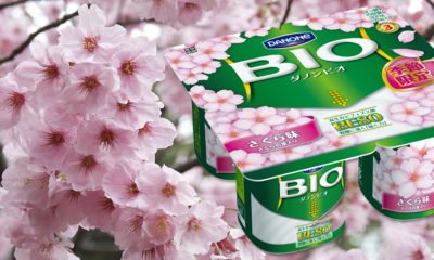 yaourt-danone-bio-japon-sakura-cerisiers